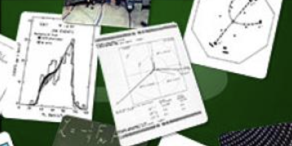 Standard model